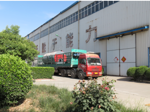 5月20日一臺8噸，一臺6噸燃氣鍋爐發貨